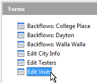 Edit Visits Edit Visits
