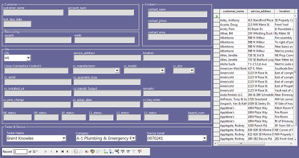 Customer/Visit Form Customer/Visit Form
